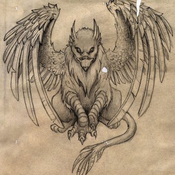 Тату ескізи грифон