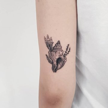 Тату - ескізи "Мушля"