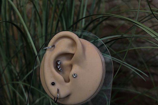 Навчання пірсингу в Харкові