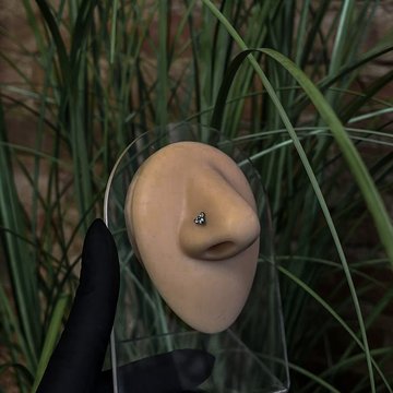 Навчання пірсингу в Кам'янському