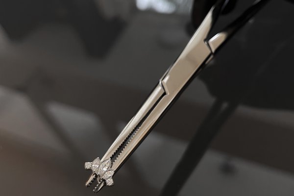 Пірсинг у Кам'янському