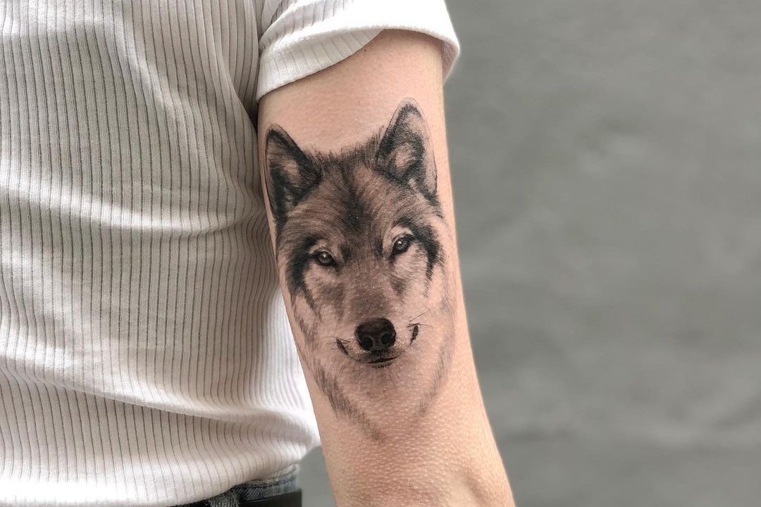 тату волк