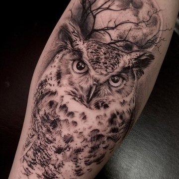 Тату эскизы сова
