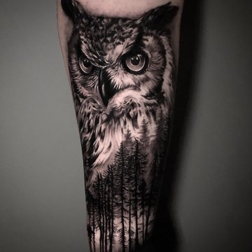 Тату сова