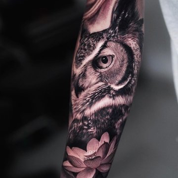 Тату сова
