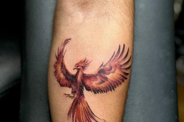 тату феникс