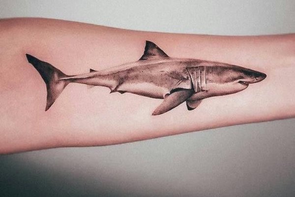Тату акула