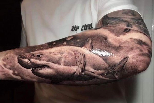 Тату акулы