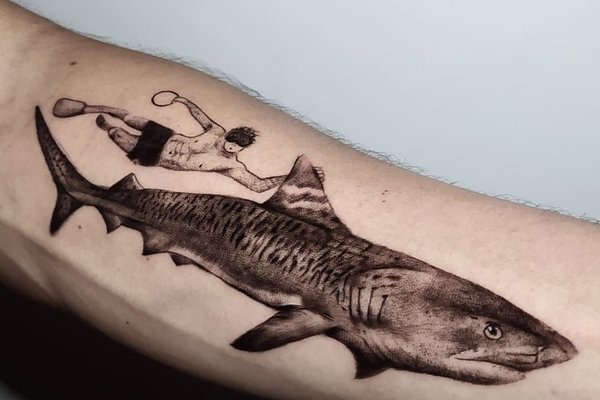 Тату акула