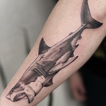 Тату эскизы акулы
