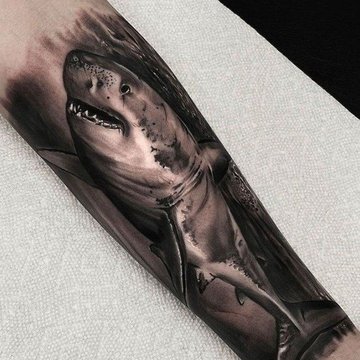 Тату акула