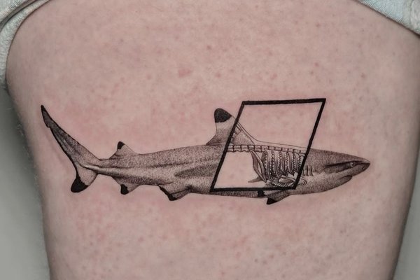 Тату эскизы акулы
