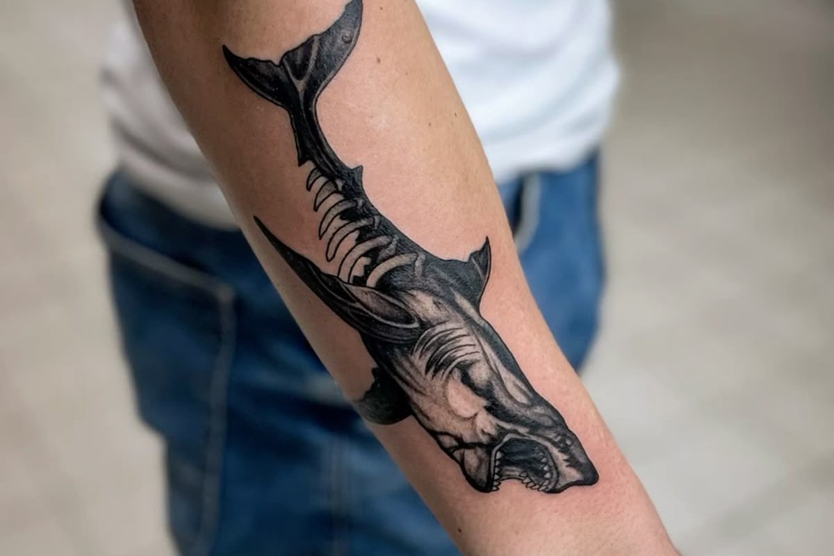 Тату эскизы акулы