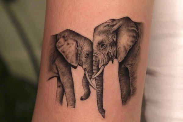 Тату эскизы слон