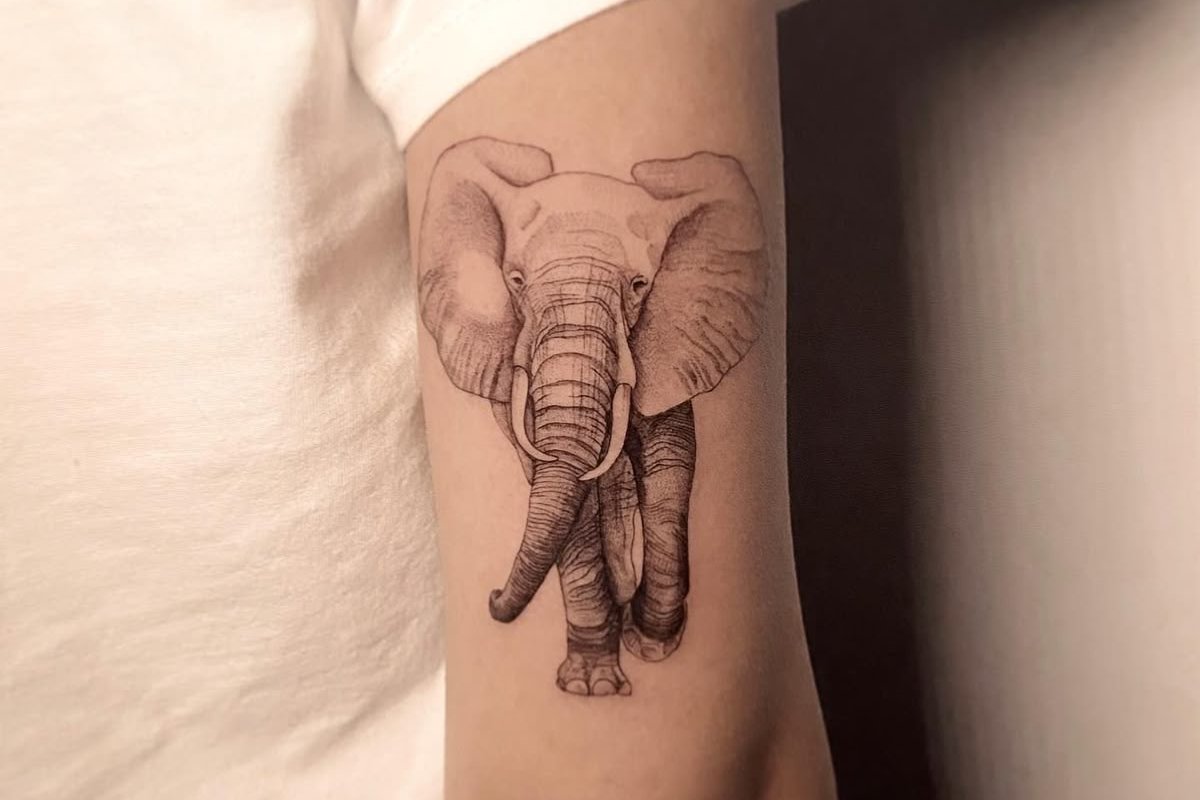 тату слон
