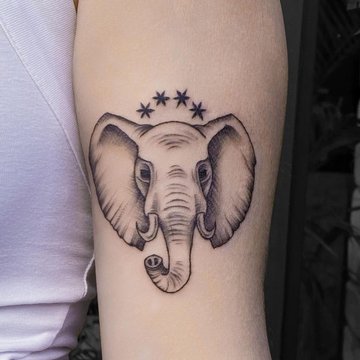 Тату эскизы слон