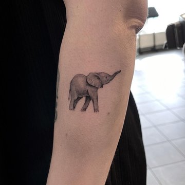 Тату эскизы слон