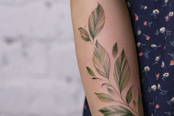Тату веточка