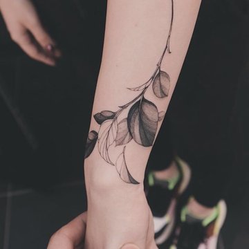Тату веточка