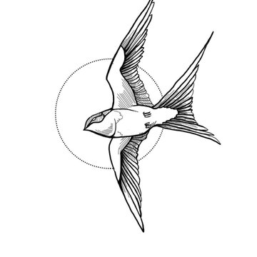 Тату ескізи ластівка