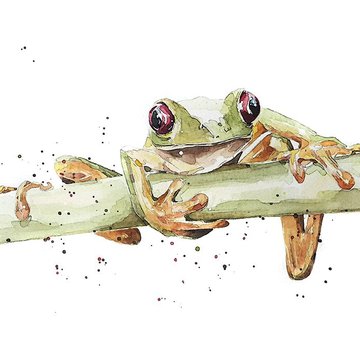 Тату эскизы жабы и лягушки