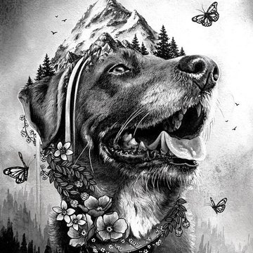 Тату эскизы собак