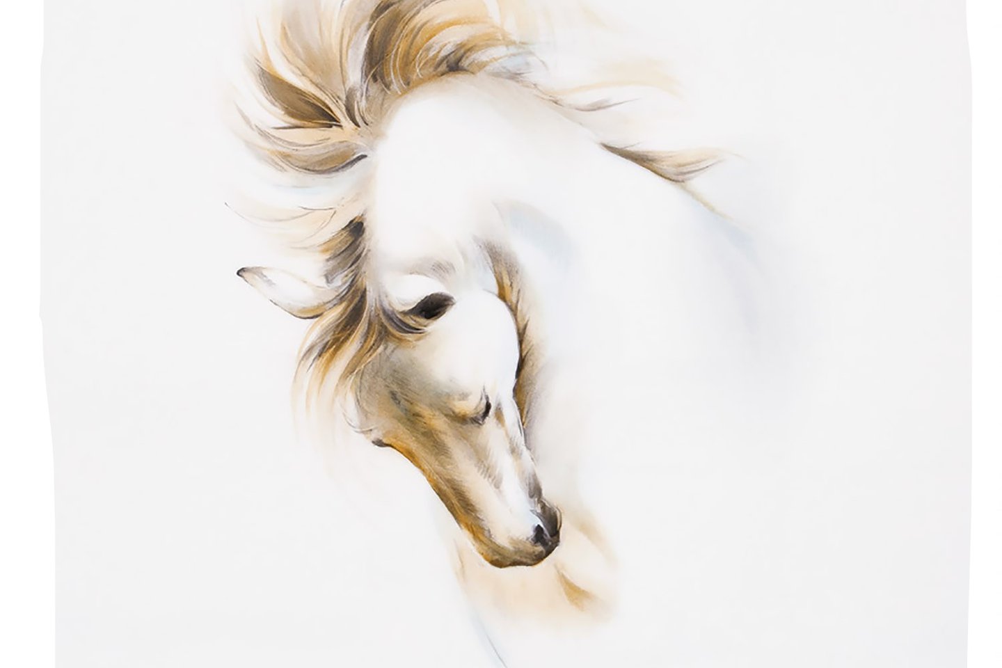 Тату ескізи коня