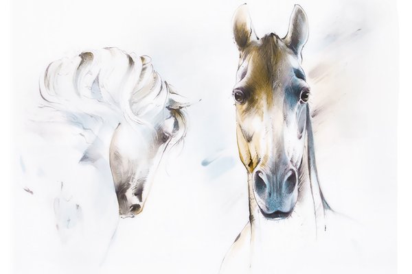 Тату ескізи коня