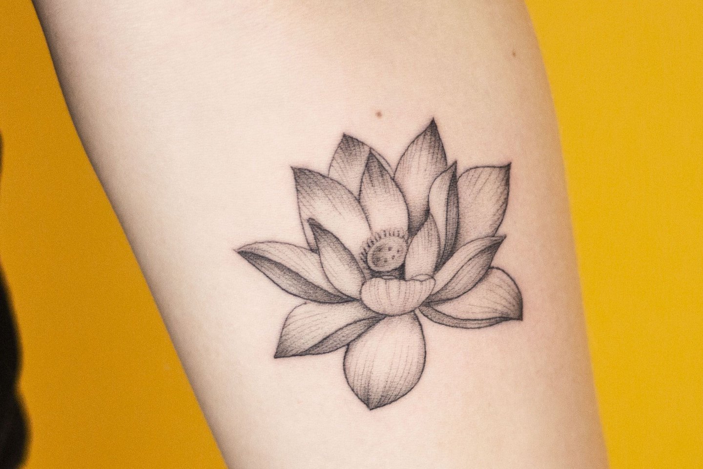 Тату ескізи лотос