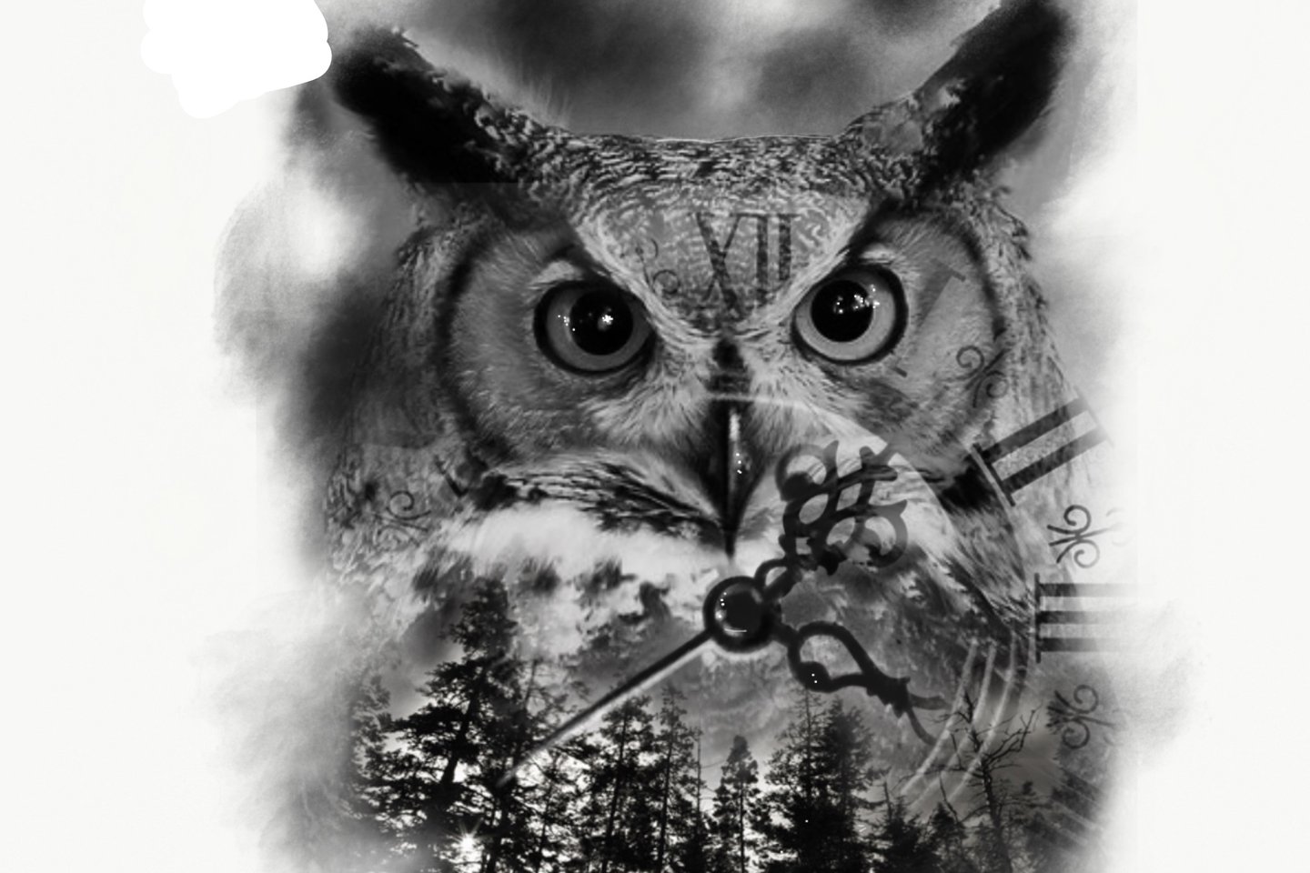 Тату-ескізи "Сова"