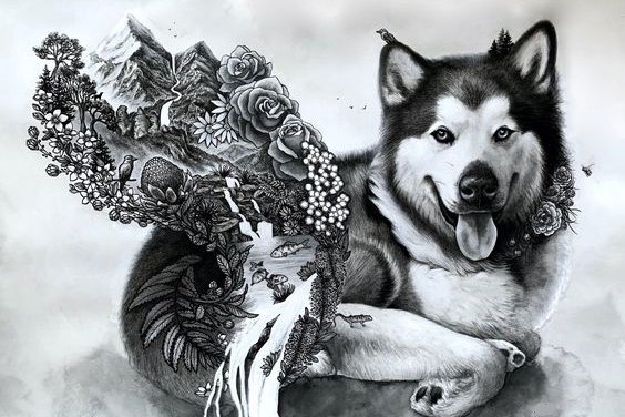 Тату эскизы собак