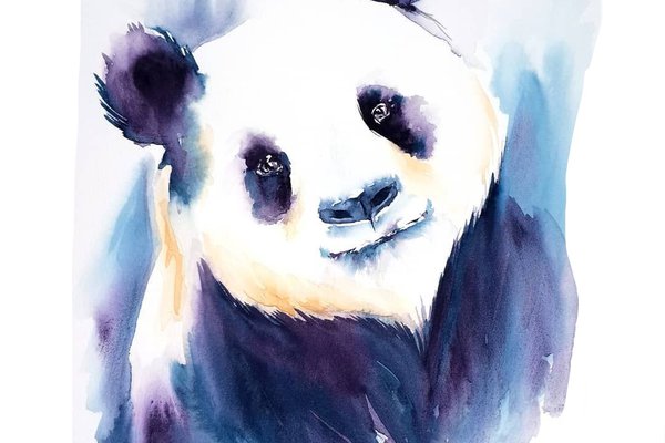 Тату эскизы панда