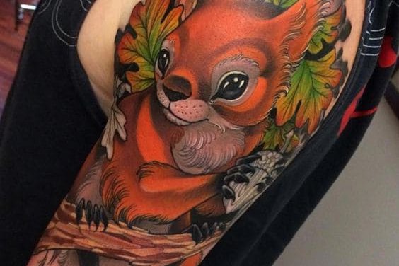 эскиз белка