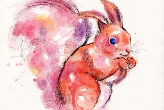 татуировка белка для девушек