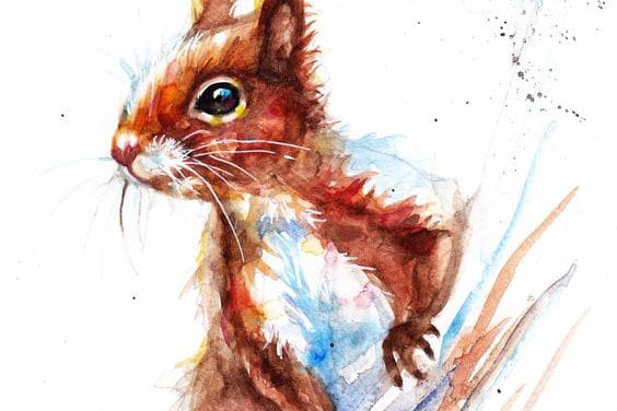 тату белочка для девушек