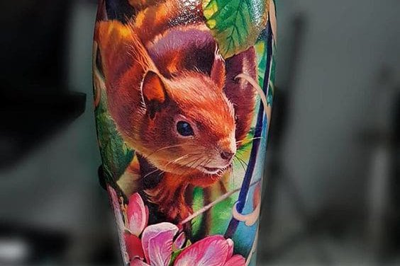 белочка эскиз