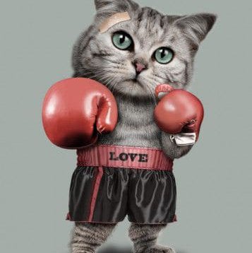 тату эскиз бокс