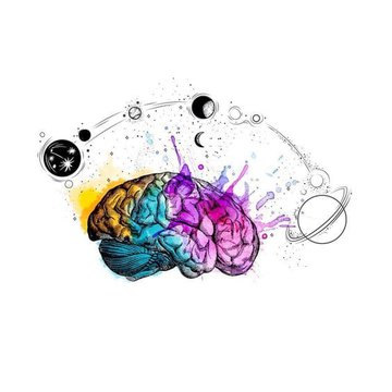 эскиз мозга