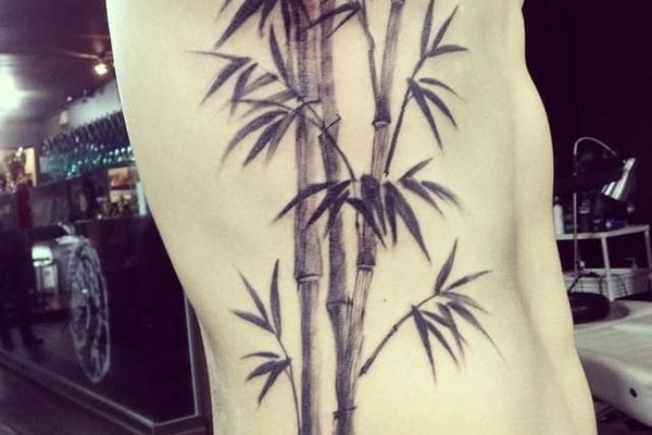Тату - ескіз бамбук