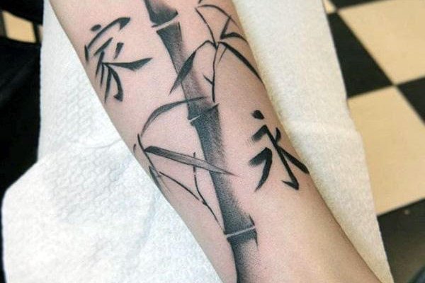 Тату-эскиз бамбука