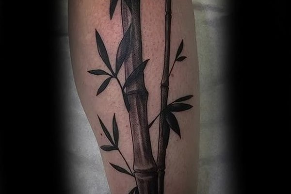 Тату-эскиз бамбука