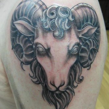 Тату-эскиз баран