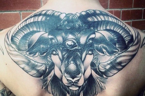 Тату-эскиз баран
