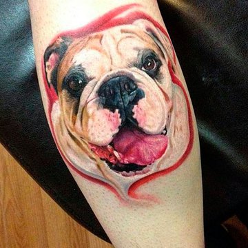 бульдог тату