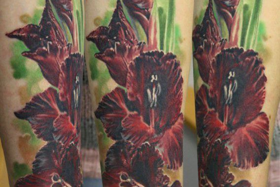 Тату эскиз гладиолус