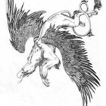 Тату эскизы грифон