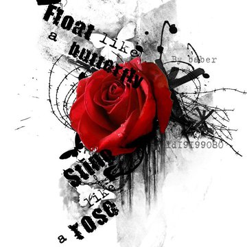 эскиз красная роза