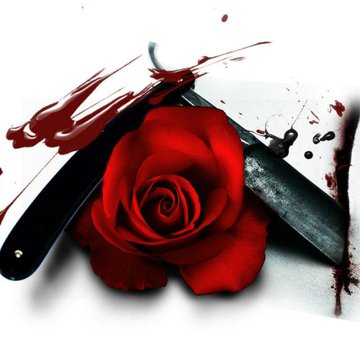 эскиз красной розы