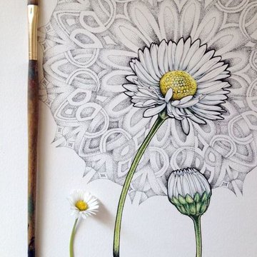 Тату эскизы ромашка