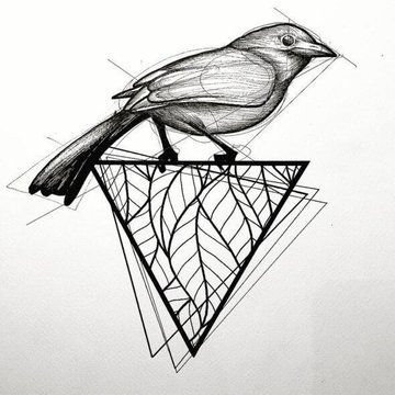 эскиз воробья